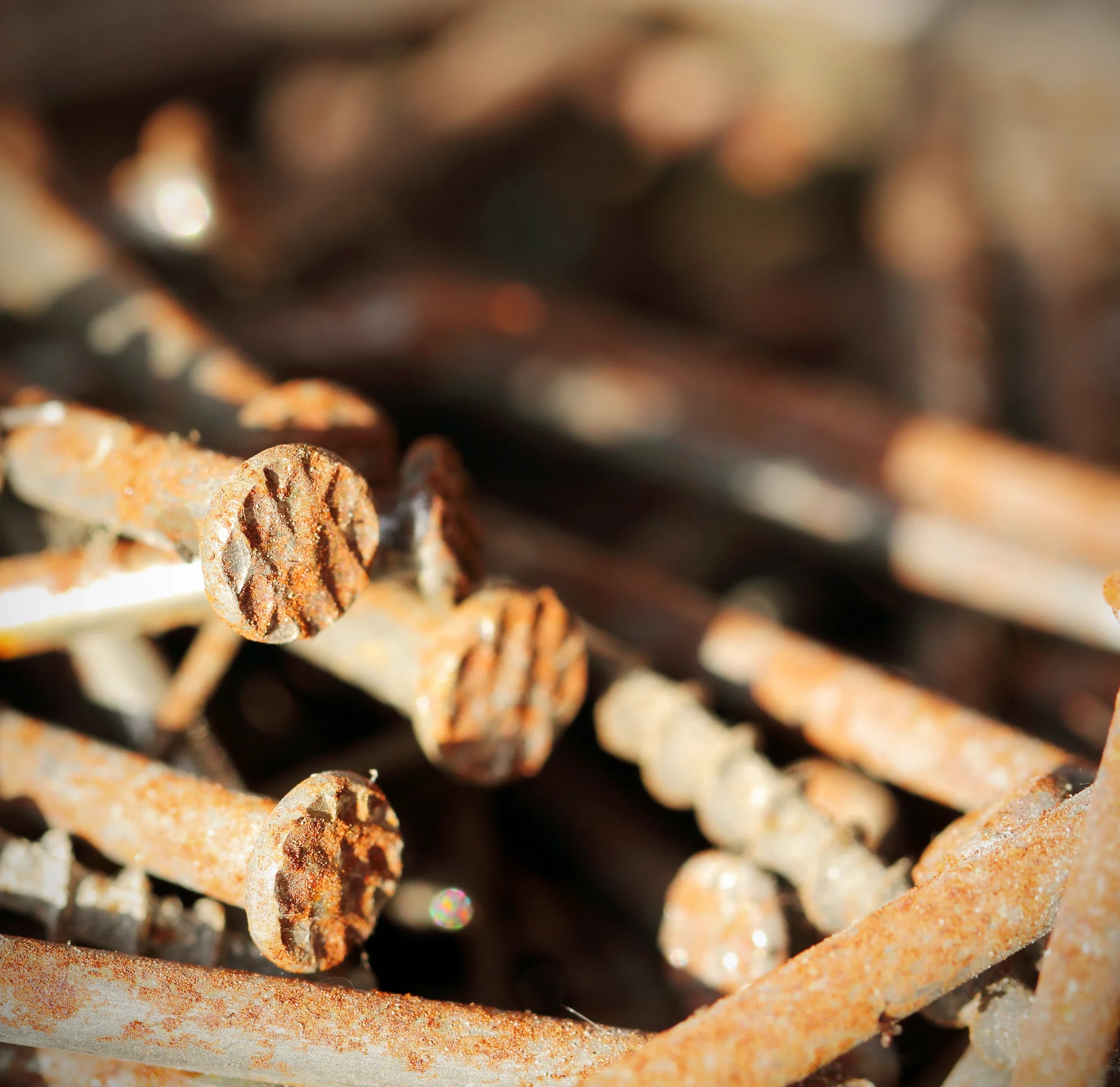 rusty-nails-close-up-construction-material-still-l-2026-04-15-05-50-00-utc A close-up of several rusty nails and screws piled together, showing textured heads and weathered metal surfaces.